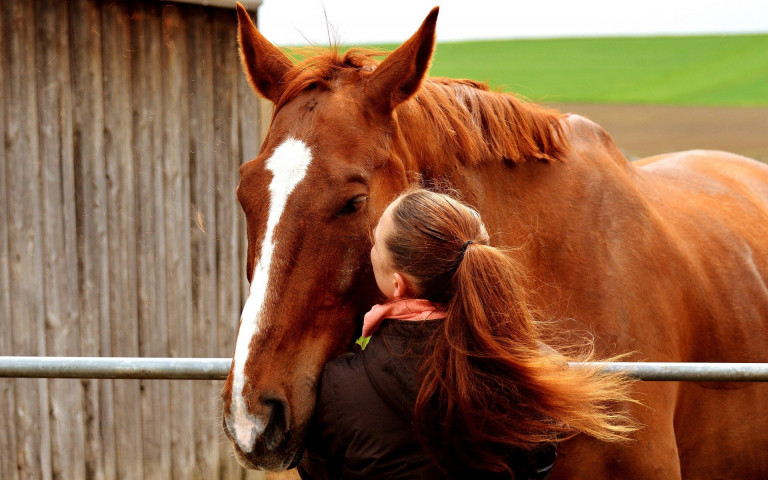Meisje met een paard