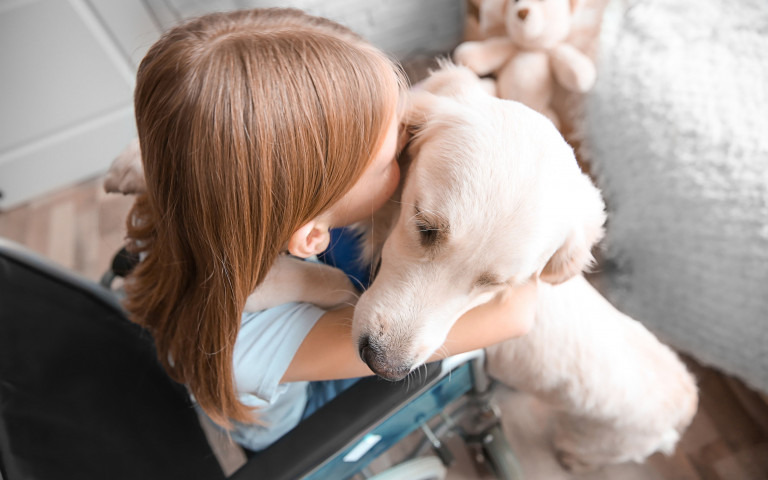 meisje in rolstoel met hond