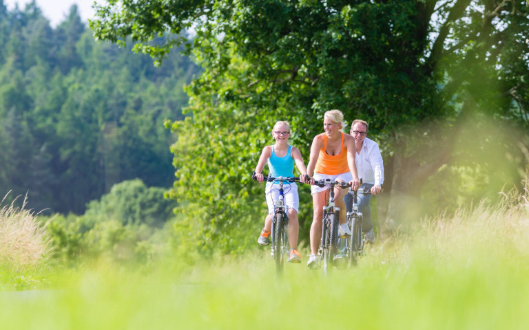 Gezin fietsen zomer