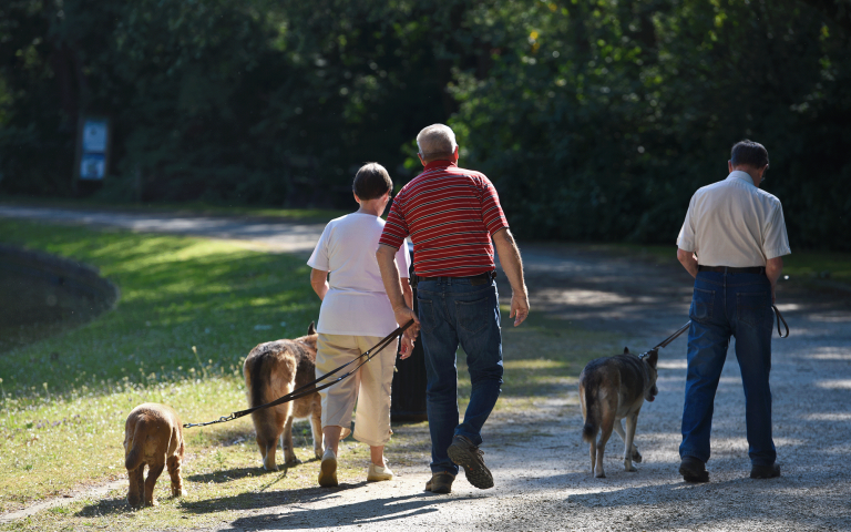 3 senioren wandelen met hun hond in het park