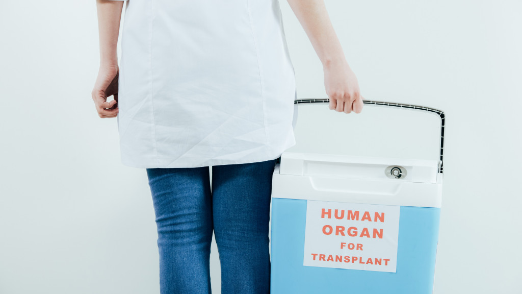 Verpleegkundige draagt transplantatie-orgaan in een koelbox