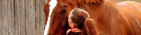 Fille qui fait un bisou à un cheval