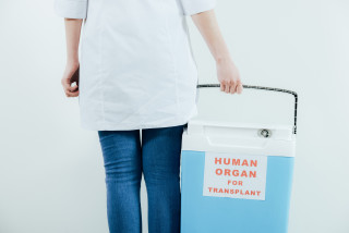 une infirmière transporte des organes