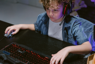 Jonge gamer op PC