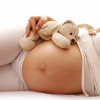 peluche sur le ventre d'une femme enceinte